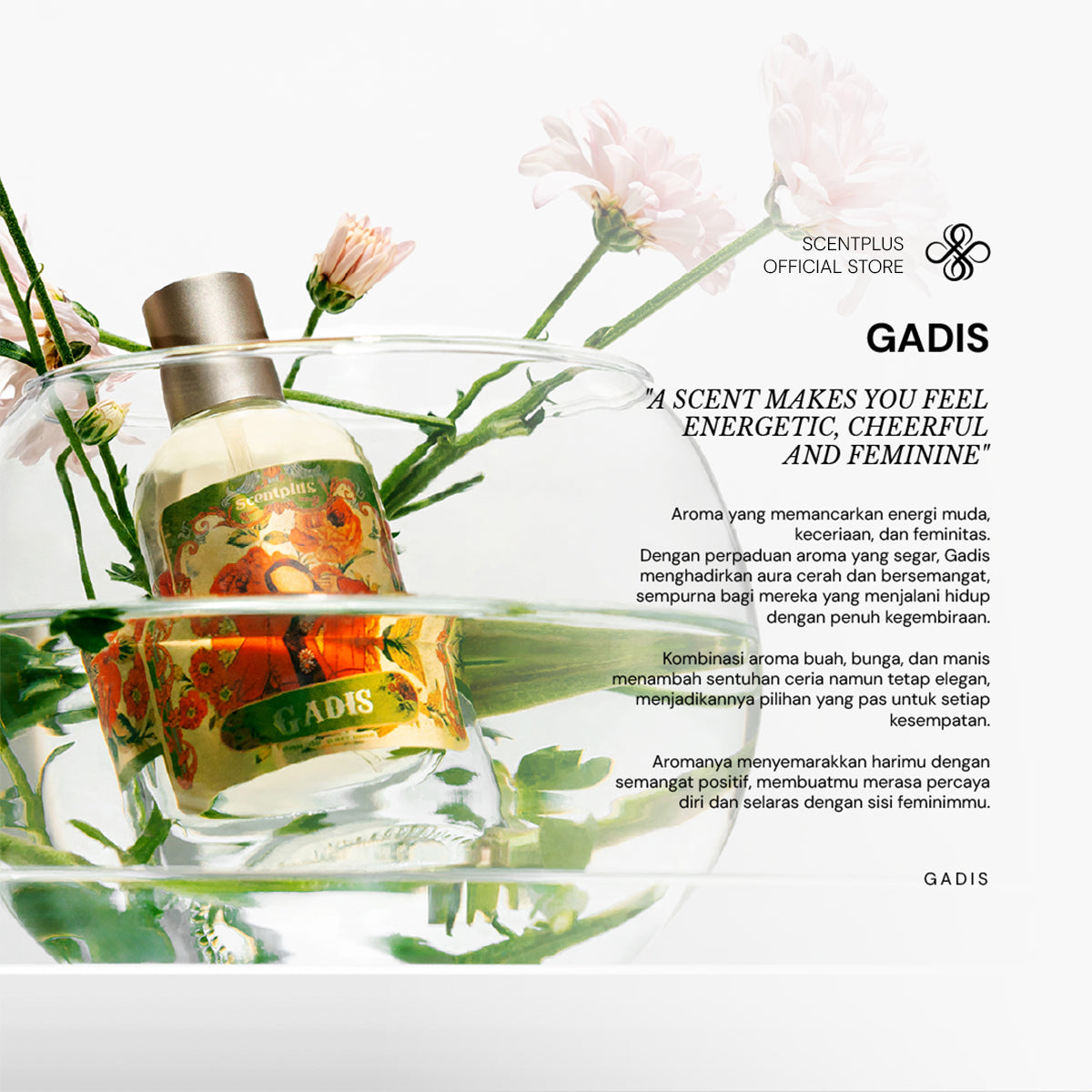 Scentplus Gadis Eau De Parfume - Scentplus Parfum Wanita