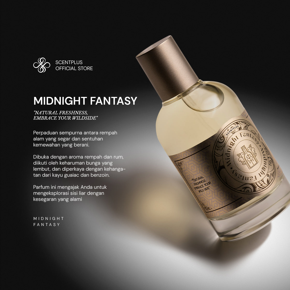 Scentplus Midnight Fantasy Premium Eau De Parfume - Scentplus Parfum Pria